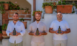 Tre fratelli under 35 tornano nella Valle del Belice e riprendono i terreni del nonno per valorizzare l’olivicoltura