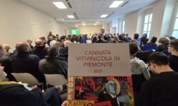 L’annata vitivinicola in Piemonte: calano produzione ed export ma la regione resta leader