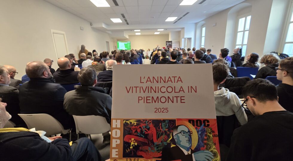 L’annata vitivinicola in Piemonte: calano produzione ed export ma la regione resta leader