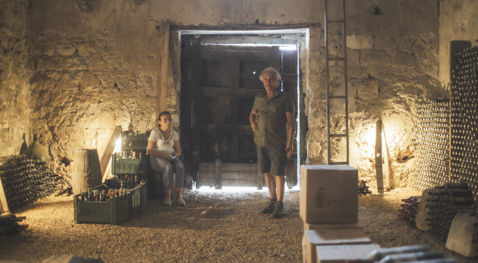 Vigne a piede franco e affinamento in cisterne romane. La magia delle cantine La Sibilla nei Campi Flegrei