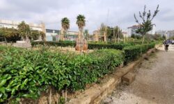 A Pescara un'associazione offre terreni in cui coltivare l'orto agli over 65