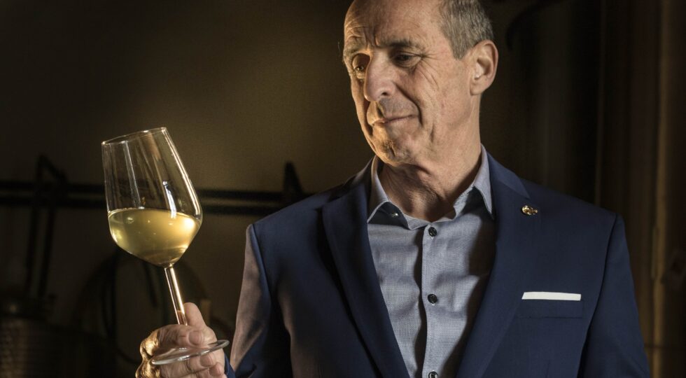 Consorzio di Tutela dei Vini dell’Elba: Antonio Arrighi eletto nuovo presidente