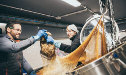 A Birra del Borgo torna l'”Oyster Day”: la cotta della Perle ai Porci si trasforma in una festa aperta agli appassionati e non solo