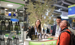 Sol Expo: torna a Veronafiere il salone dell’olio e dell’olivo