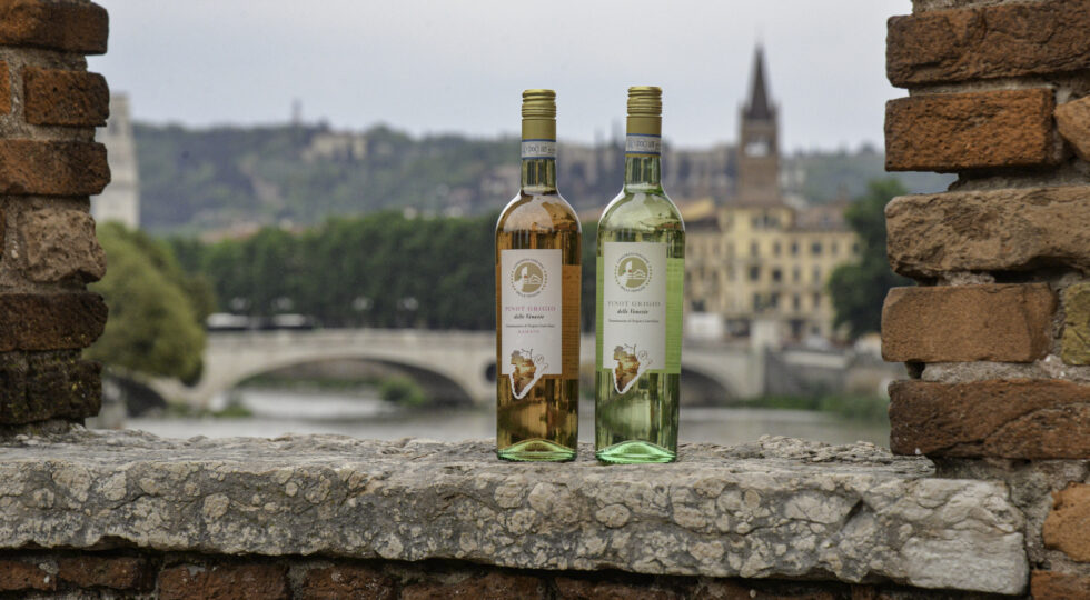 Doc Delle Venezie, un Qr code trasforma il contrassegno di Stato in passaporto digitale delle bottiglie