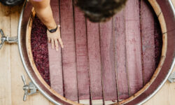 Serradenari, il Barbera d’altitudine di Dosio si presenta al Vinitaly insieme alla Dimora