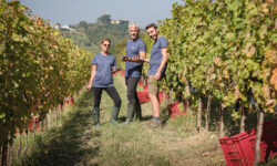 Frasca La Guaragna, interprete autentica del Nizza Docg racconta i suoi vini al Vinitaly