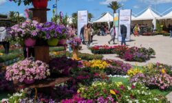 Alla nuova edizione di Florviva a Pescara arrivano le piante carnivore