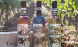 La linea Dogajolo di Carpineto a Verona per il Vinitaly and the City, un fuori salone itinerante