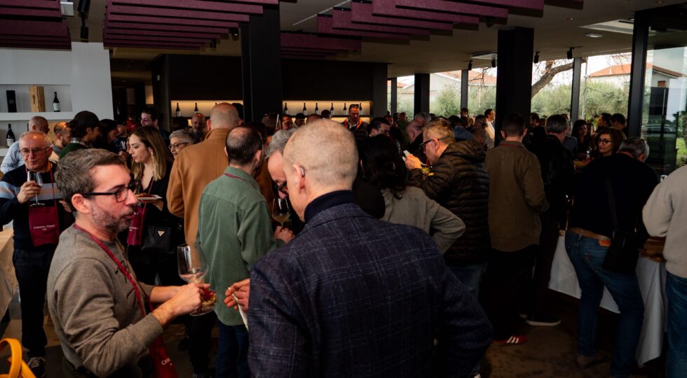 Cantina Tollo e Feudo Antico, una degustazione per far conoscere i vini ai ristoratori