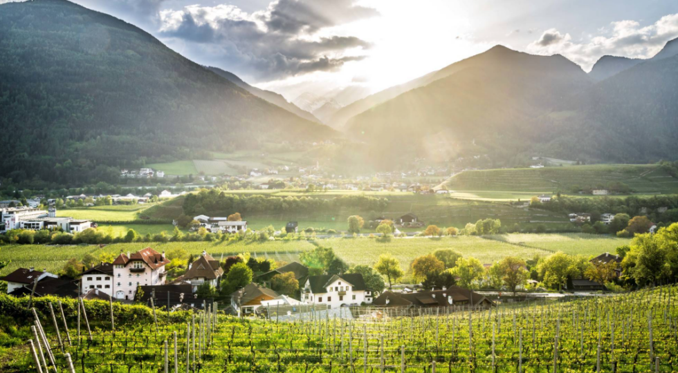 Bressanone, nella regione vinicola più a nord d’Italia si celebra il territorio con la Primavera di Novacella