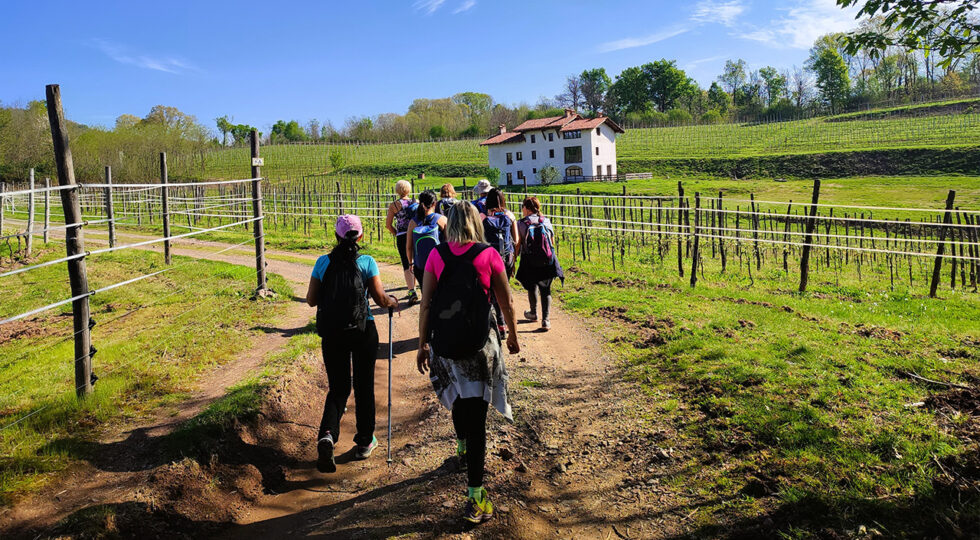 Ecco il Cammino delle Colline Novaresi: oltre 100 chilometri tra vigneti, specialità enogastronomiche, bellezze culturali e paesaggistiche