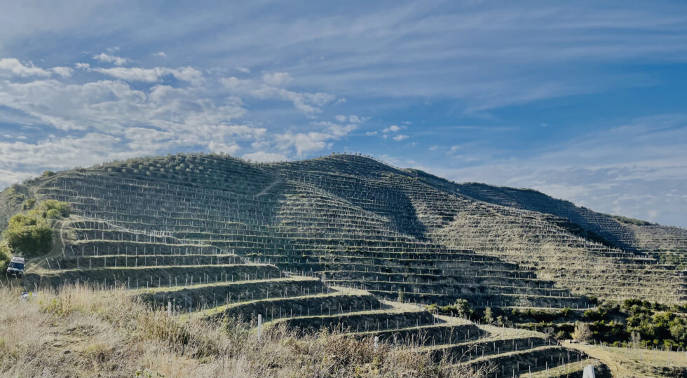 L’Albania scopre l’enoturismo. Da Çobo Winery tra i vigneti terrazzati di Vlosh e Puls