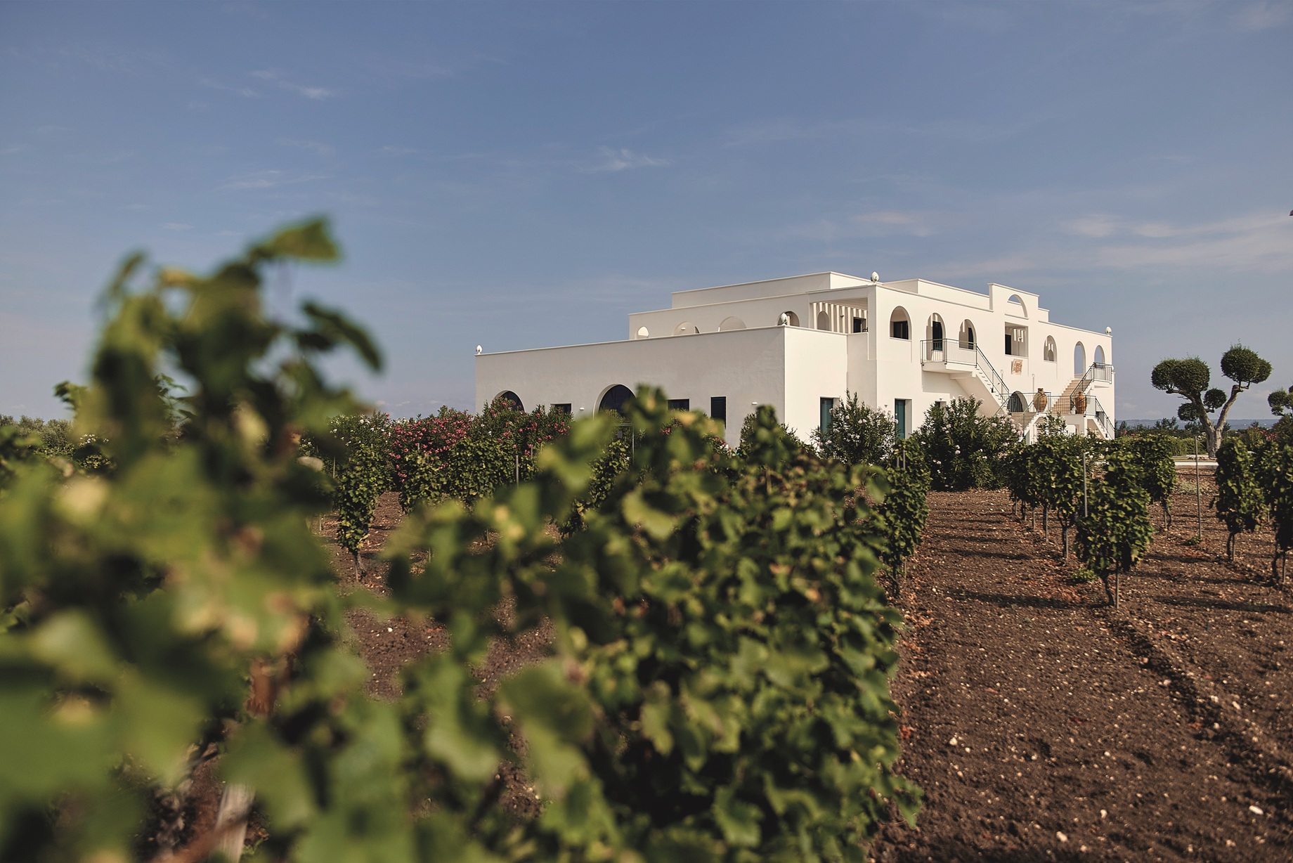 Feudo Croce- Puglia