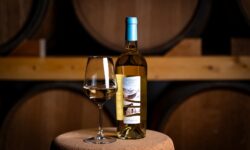 Trent’anni di Karmis: al via “L’estate infinita”, la campagna celebrativa di Cantina Contini 1898