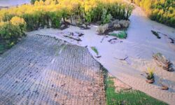 Agricoltura abruzzese in ginocchio per il maltempo. Coltivazioni compromesse fino al 60%