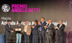 Vinitaly: all’azienda agricola Alberto Quacquarini il Premio Angelo Betti
