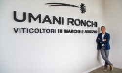 Industria Felix, Umani Ronchi unica realtà del vino tra le 79 imprese più performanti del Centro e delle isole