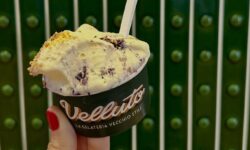 Dalla fava di cacao al gelato, da Velluto una degustazione dedicata alla cultura del cioccolato
