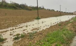 Allarme maltempo, Cia Chieti Pescara: “Subito interventi a sostegno dell’agricoltura”