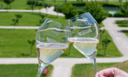 Festival della Malvasia di Sala Baganza: 30 anni di storia, territorio e cultura del vino