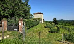 Il 26 settembre la camminata tra i vigneti di Boca