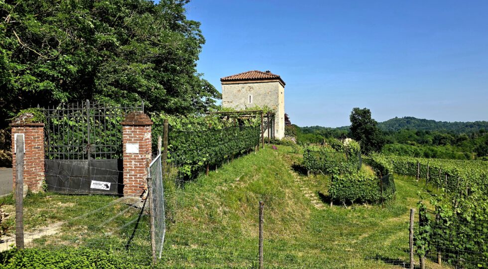 Il 26 settembre la camminata tra i vigneti di Boca