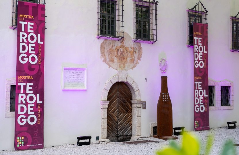 Il Teroldego Rotaliano si mette in mostra: il principe dei vini trentini torna protagonista a Mezzocorona