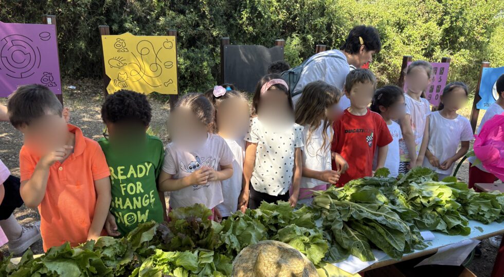 Vasto, la vendita dei prodotti coltivati dagli alunni finanzia l’orto scolastico dell’anno prossimo