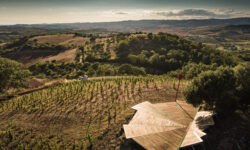 Fattoria La Maliosa inaugura la nuova cantina