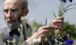 Milano corre, Brera si ferma: la favola senza tempo del Fioraio Bianchi Caffè, l’oasi botanica dove la natura detta le regole del gusto