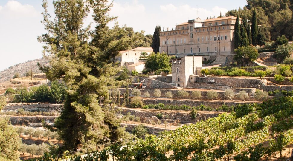 A Fossanova Vini d’Abbazia racconta il vino attraverso la spiritualità, la ricerca e l’arte contemporanea