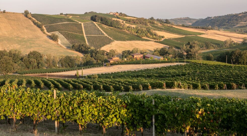 La Genisia, il volto nuovo dell’Oltrepò Pavese: vino, territorio ed esperienze da vivere