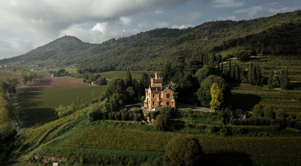 Vendemmia al via in Franciacorta, inizia Castello Bonomi della famiglia Paladin