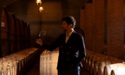 Bersano: tradizione, innovazione e grandi vini. Federico Orione racconta la nuova fase della storica cantina piemontese
