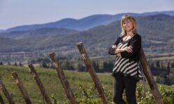 Il vino rosso d’estate. L’enologa Grassini: “Se servito alla temperatura corretta è una scelta perfetta”