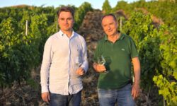 Bottiglie più leggere, fotovoltaico, ape a rischio estinzione e vigna a mille metri. Principe di Corleone raccoglie la sfida della sostenibilità