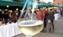 Vini dei Colli Bolognesi, torna la "Mostra Assaggio"
