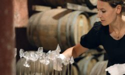 L’olfatto come linguaggio artistico e culturale, alla Cantina Scacciadiavoli di Montefalco torna Nose Art Festival
