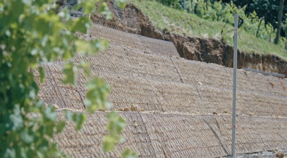 Pali intelligenti nei vigneti per prevenire le micro frane sulle colline del Prosecco