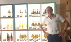 “Scellerata la vendemmia verde per ottenere indennizzi. Manca imprenditorialità”. Caruso: “Catarratto d’obbligo per bere siciliano”