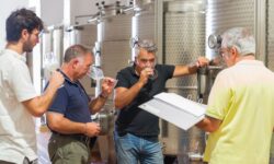 La cantina Musita si affida all’enologo Roberto Cipresso