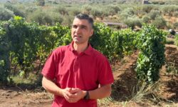 Calogero Statella: “La qualità viene prima. Anche della parola Etna in etichetta”