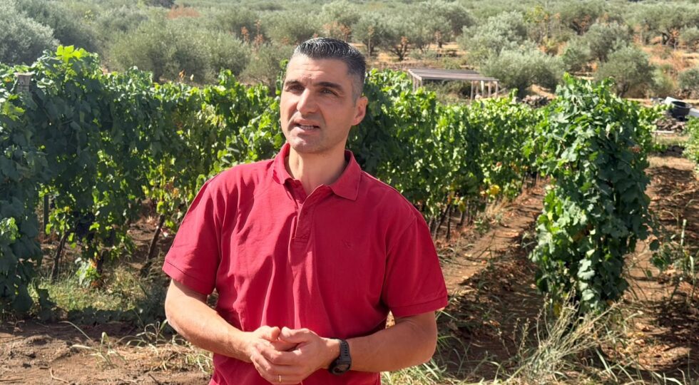 Calogero Statella: “La qualità viene prima. Anche della parola Etna in etichetta”