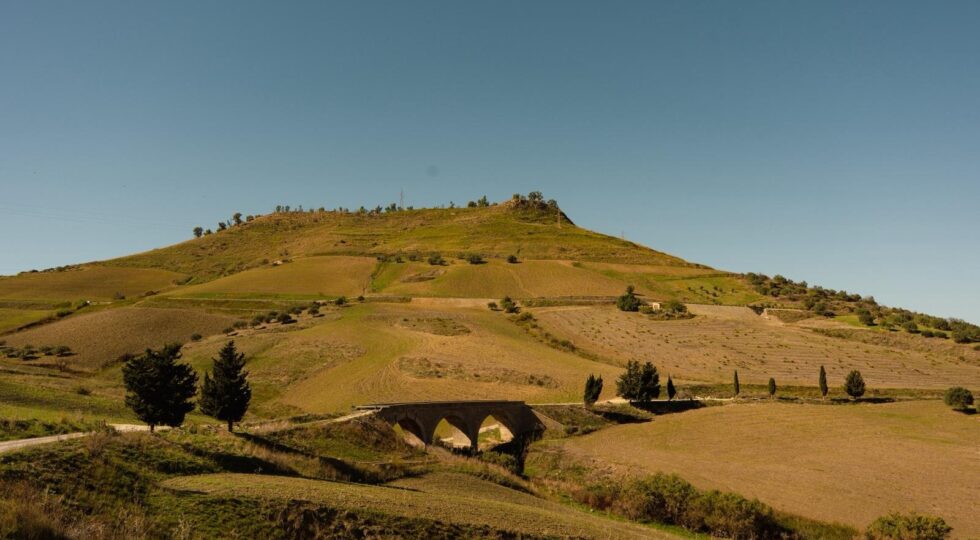 Il “pane del pellegrino” per valorizzare il Cammino di San Giacomo