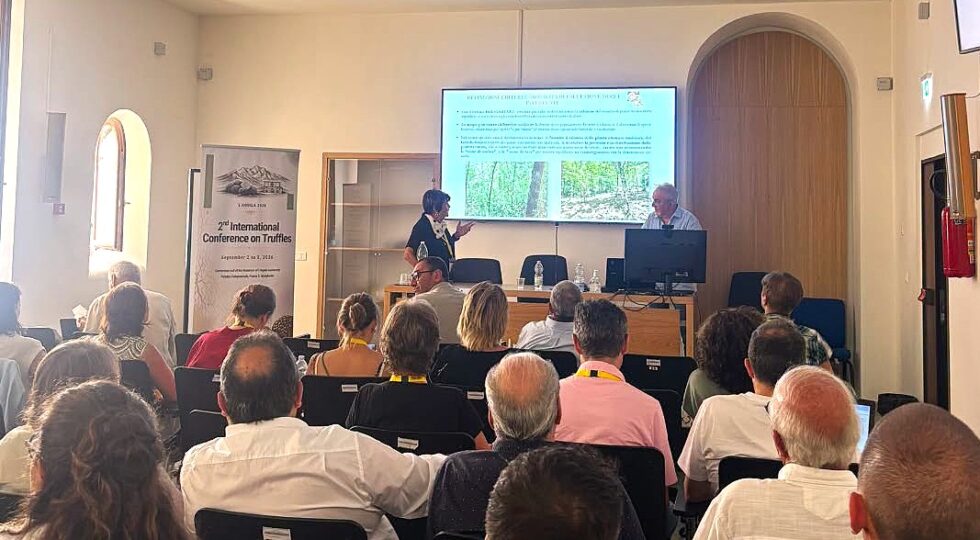 All’Aquila esperti da sette paesi per la ricerca sul tartufo