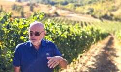 A mille metri la prima vendemmia del Pinot Nero di Pasetti. “Vino invenduto solo nelle cantine che non programmano”