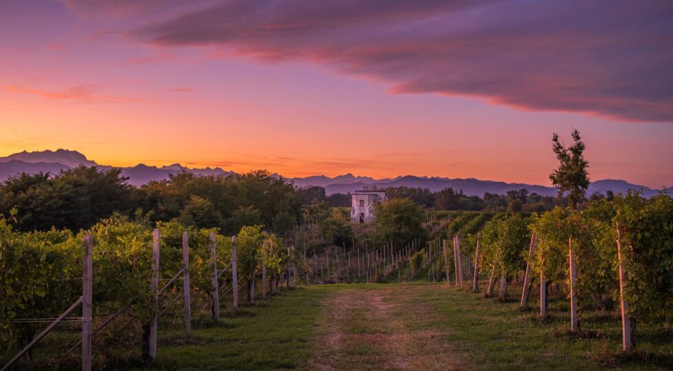 Dalla culla del riso ai vigneti del Supervulcano: un viaggio nell’Alto Piemonte tra gusto, paesaggio e cultura