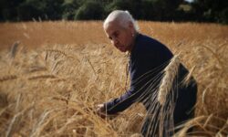 Galati Mamertino, da un chicco di grano prende forma un museo enogastronomico a cielo aperto
