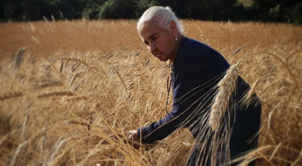 Galati Mamertino, da un chicco di grano prende forma un museo enogastronomico a cielo aperto